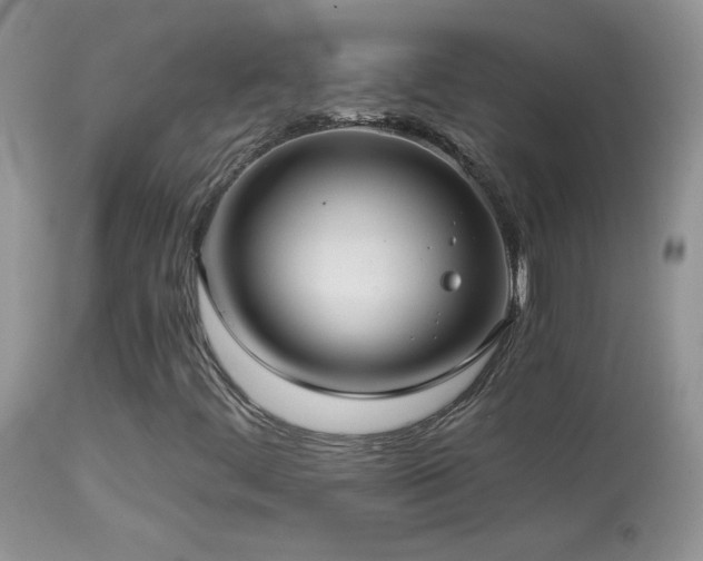 X0000114641444200910201432