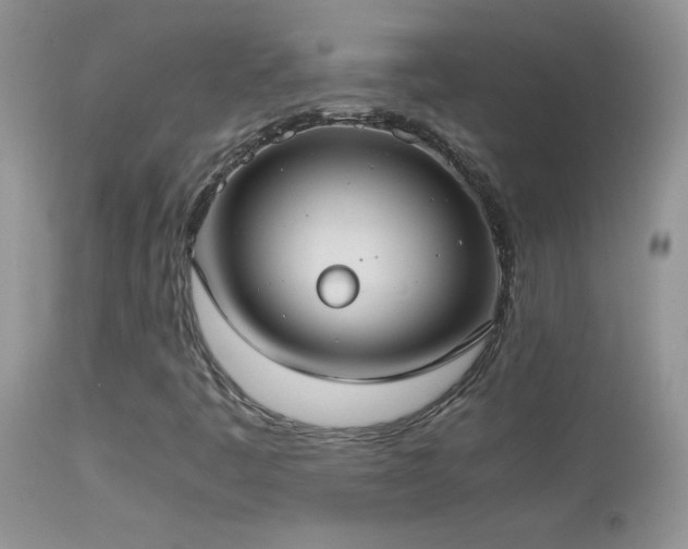 X0000114641445200910201432