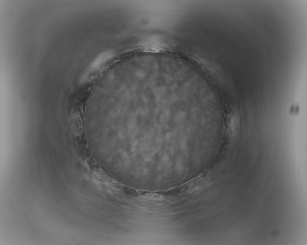 X0000114641446200910201432