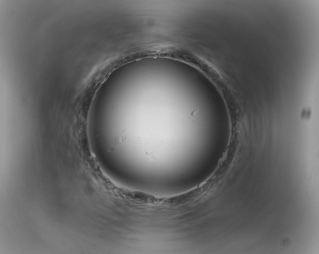 X0000114641447200910201432