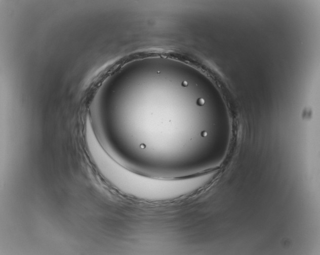 X0000114641448200910201432