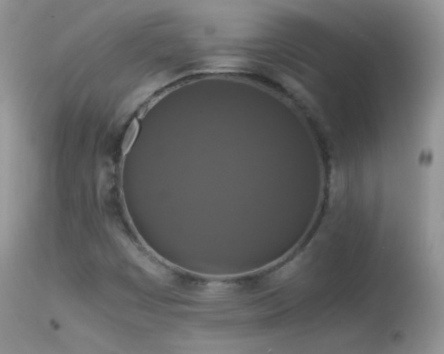 X0000114641449200910201432