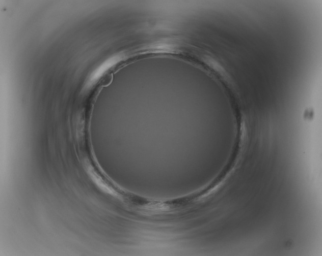 X0000114641450200910201432