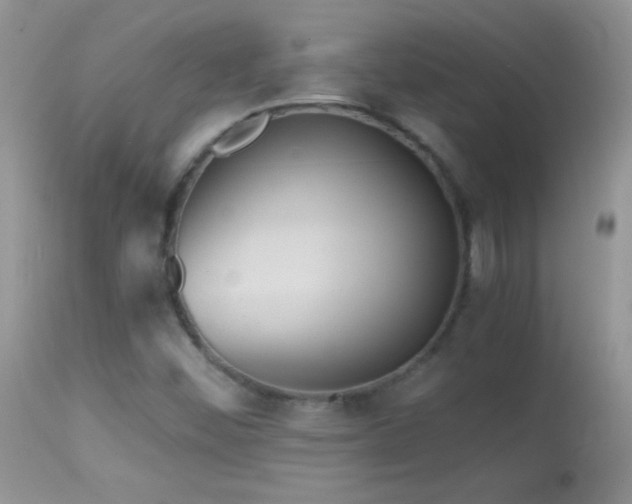 X0000114641452200910201432