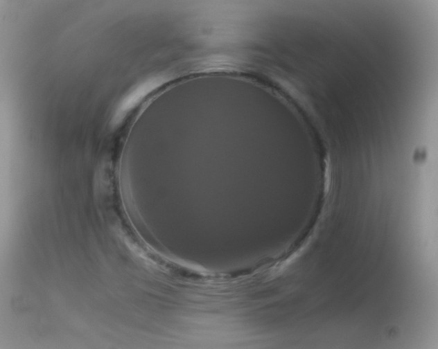 X0000114641453200910201432