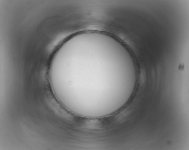 X0000114641454200910201432