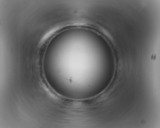 X0000114641456200910201432