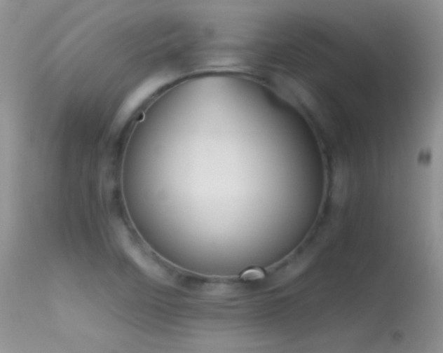X0000114641458200910201432