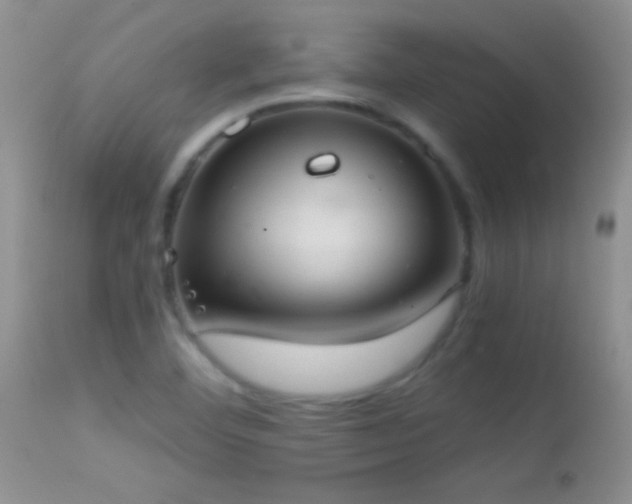 X0000114641460200910201432