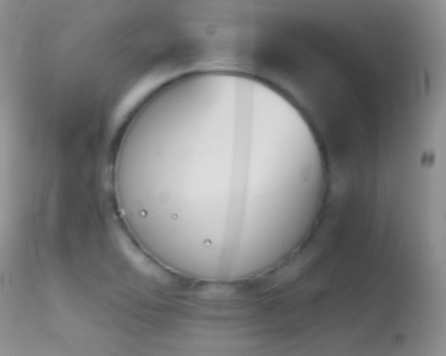 X0000114641462200910201432