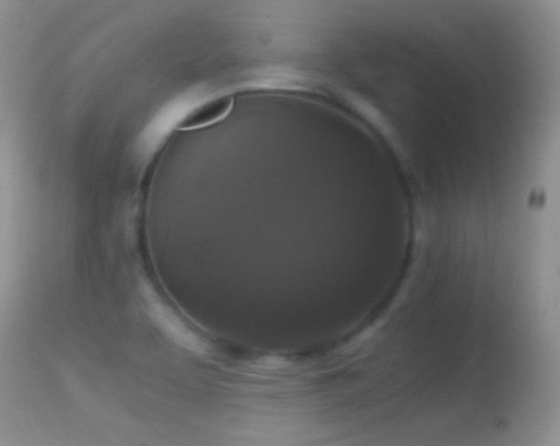 X0000114641463200910201432