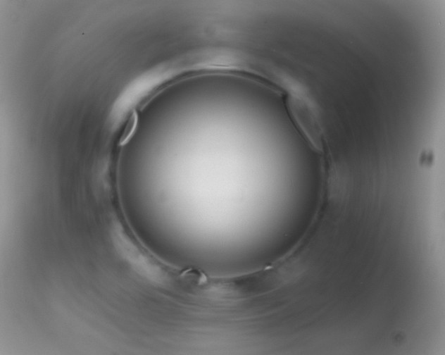 X0000114641464200910201431