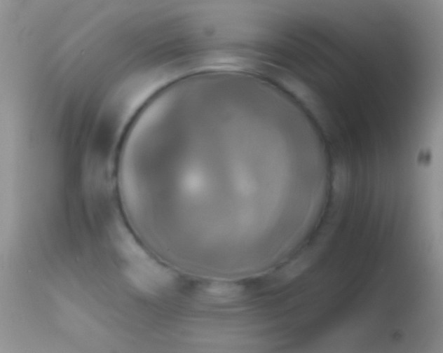 X0000114641466200910201431