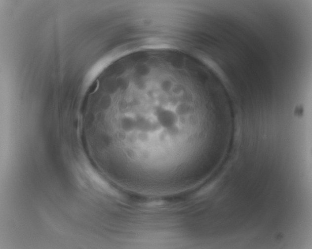 X0000114641467200910201431