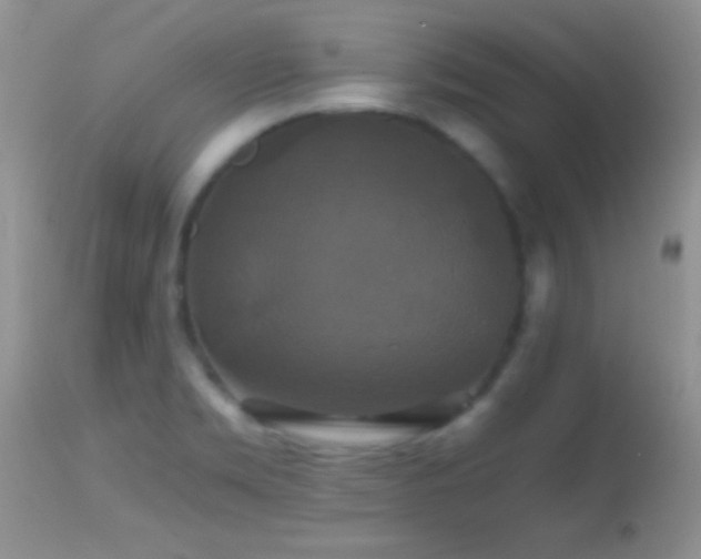 X0000114641469200910201431