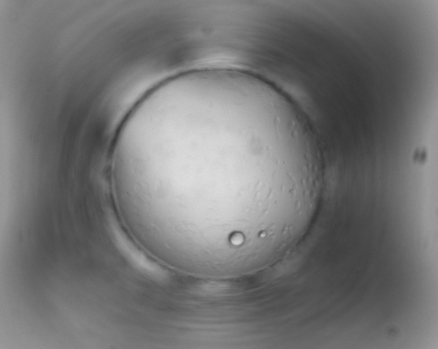X0000114641470200910201431