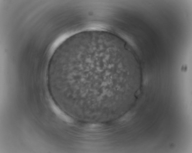 X0000114641471200910201431