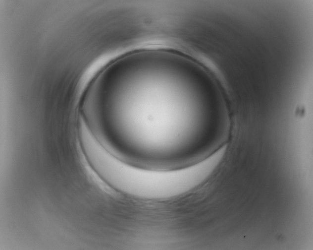 X0000114641472200910201431