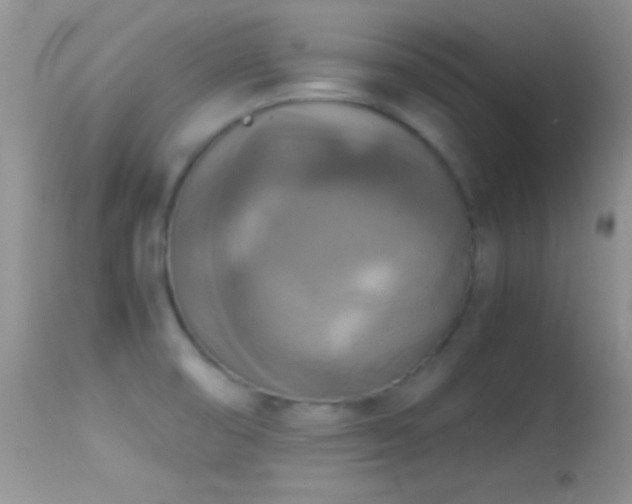 X0000114641474200910201431