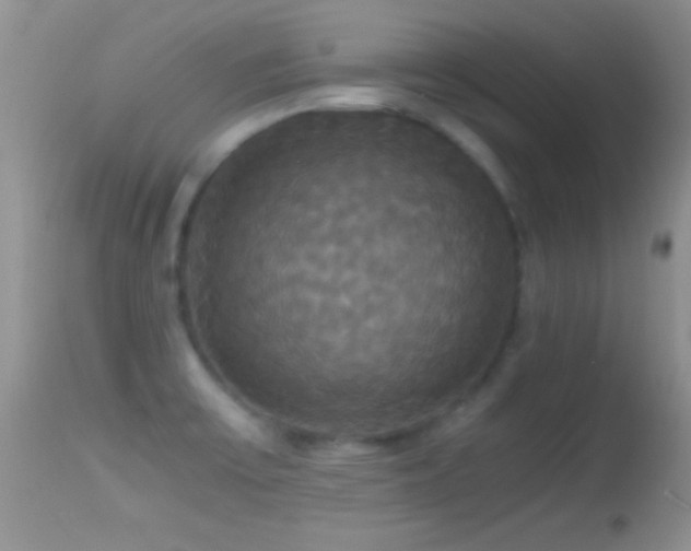 X0000114641475200910201431