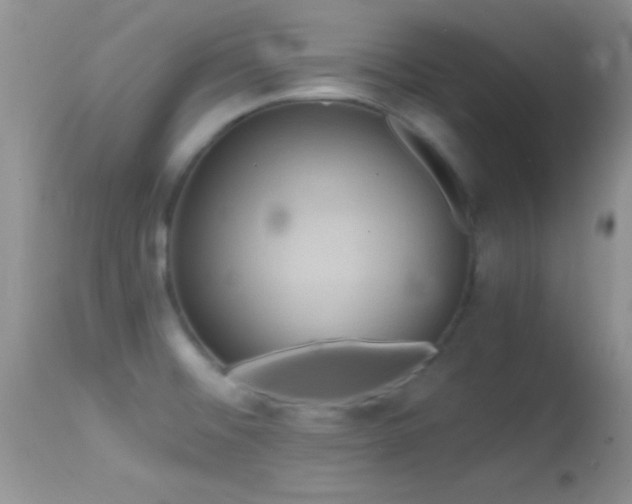 X0000114641476200910201431