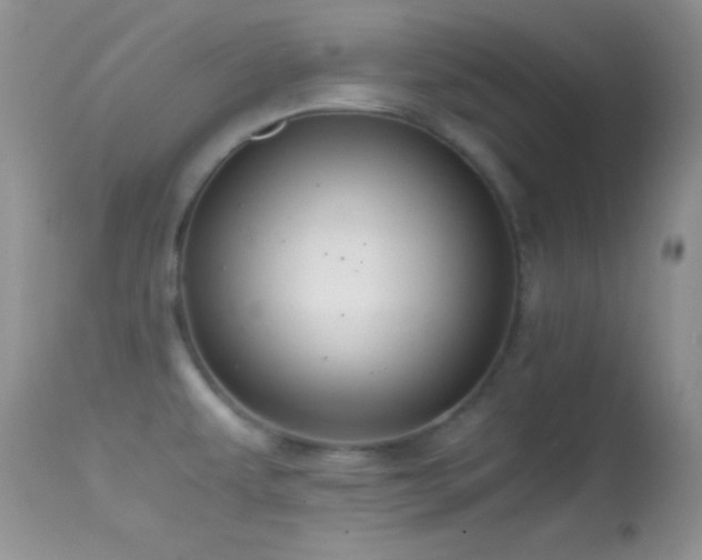 X0000114641479200910201431