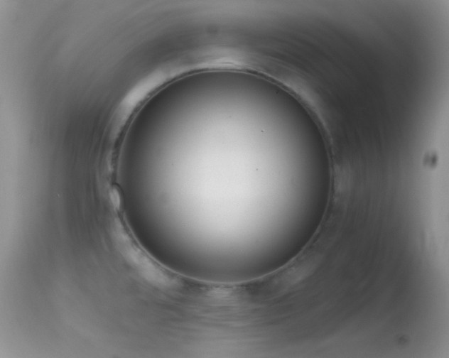 X0000114641480200910201431