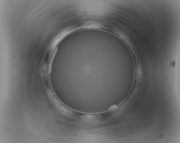 X0000114641481200910201431