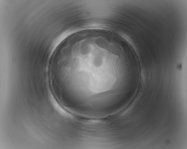X0000114641482200910201431
