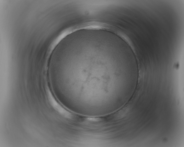 X0000114641483200910201431