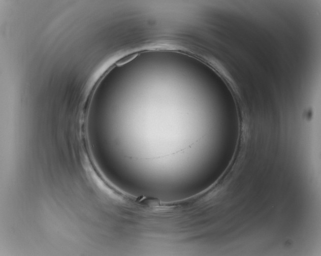 X0000114641484200910201431