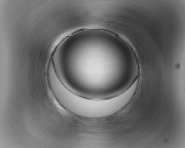 X0000114641485200910201431