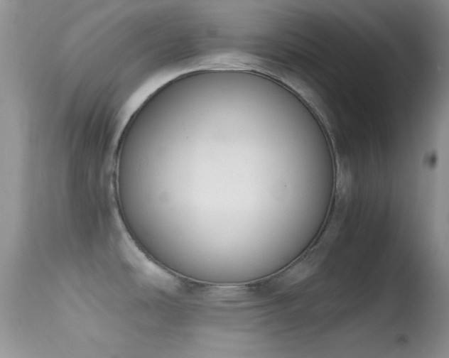 X0000114641486200910201431