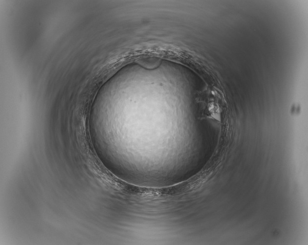 X0000114641489200910201430