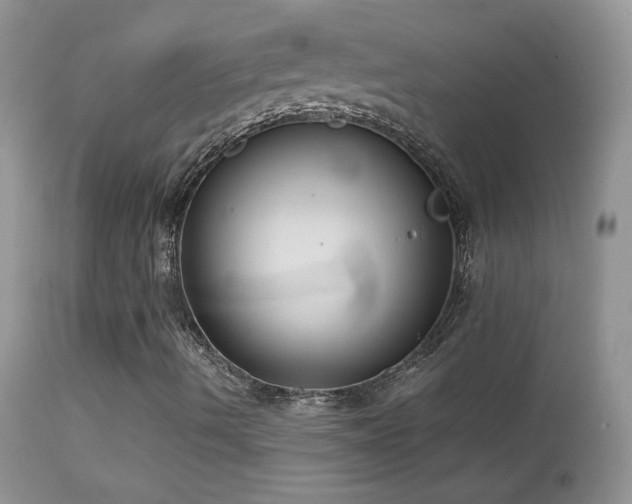X0000114641490200910201430