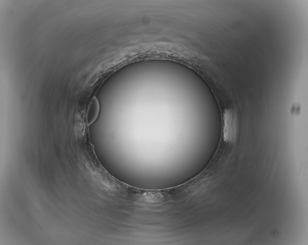 X0000114641491200910201430
