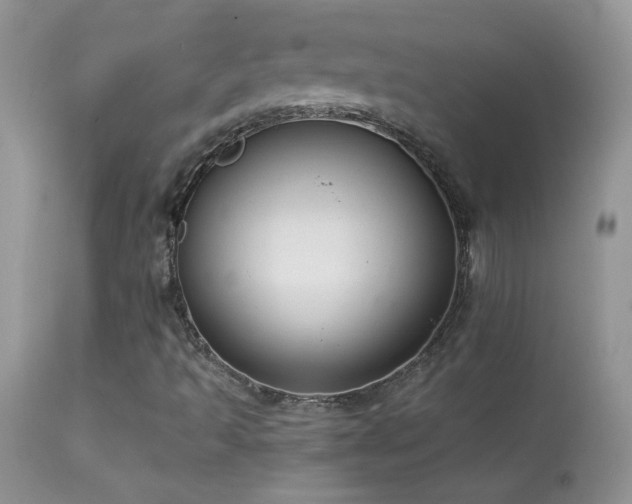 X0000114641493200910201430