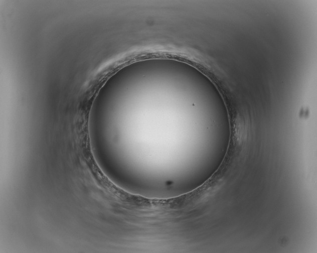 X0000114641494200910201430