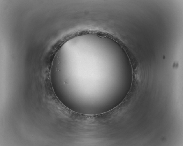 X0000114641495200910201430