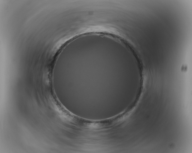 X0000114641497200910201430