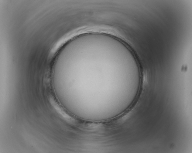 X0000114641498200910201430