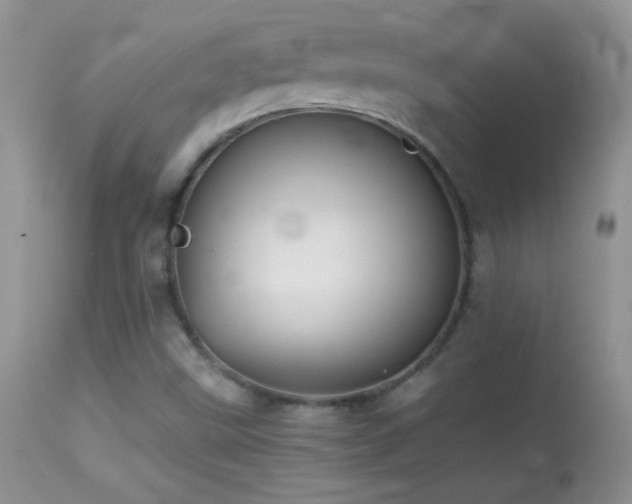 X0000114641499200910201430
