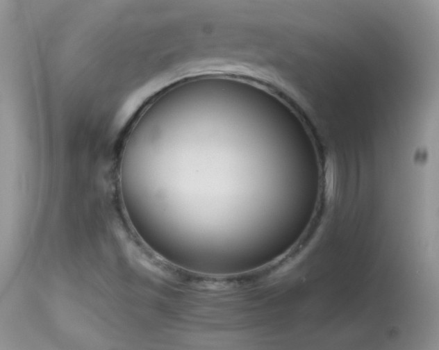 X0000114641501200910201430