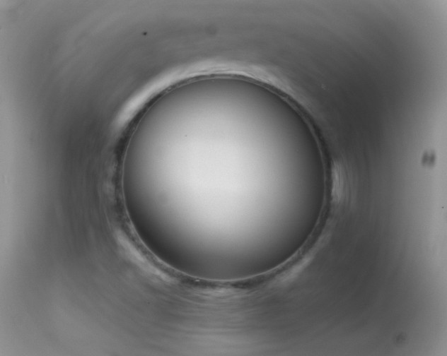 X0000114641502200910201430