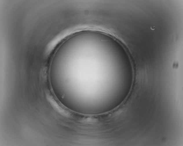 X0000114641503200910201430