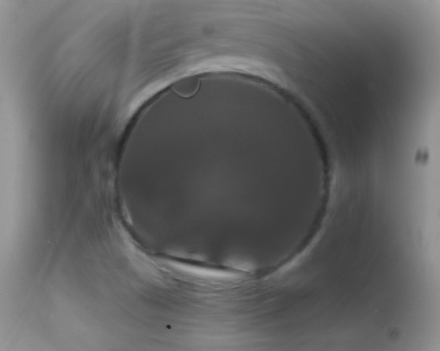 X0000114641505200910201430