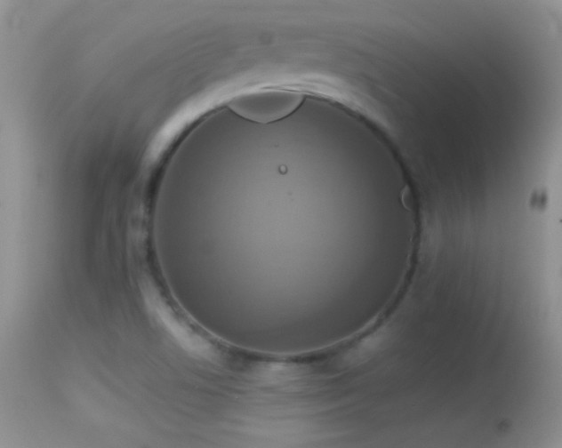 X0000114641506200910201430