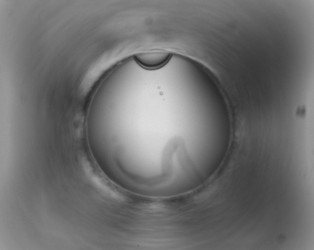 X0000114641507200910201431