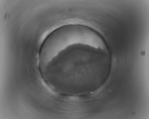 X0000114641509200910201431
