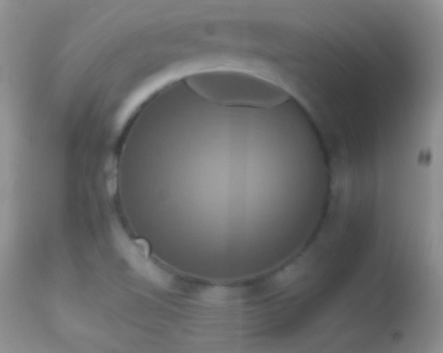 X0000114641510200910201431